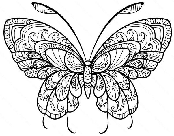 mandala 116 mariposa