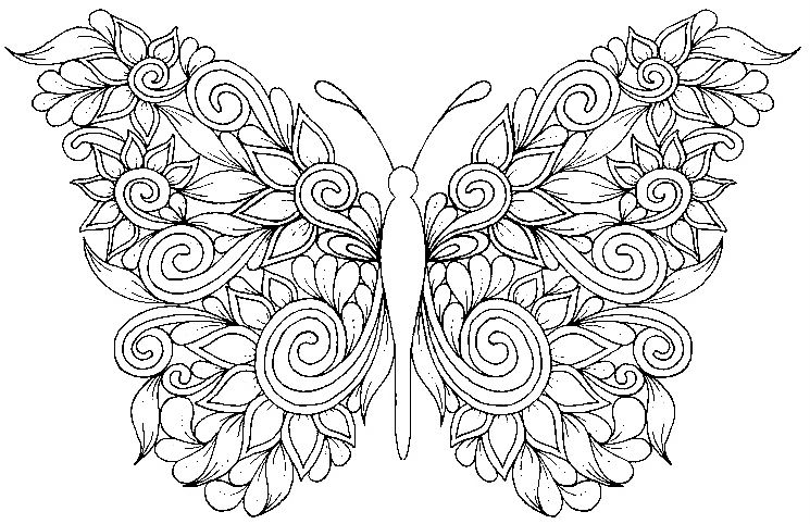 mandala 362 mariposa
