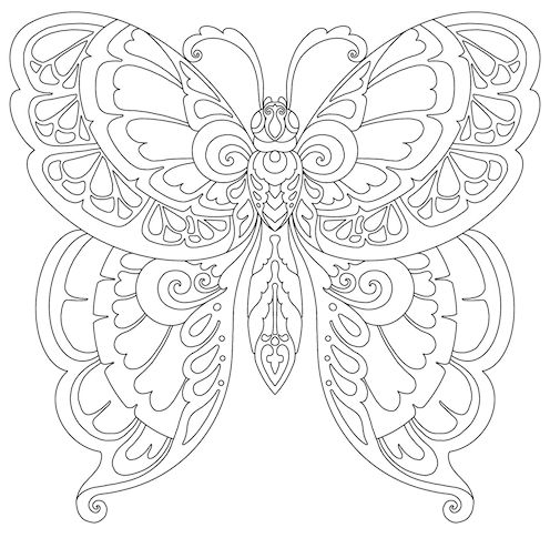 mandala 366 mariposa