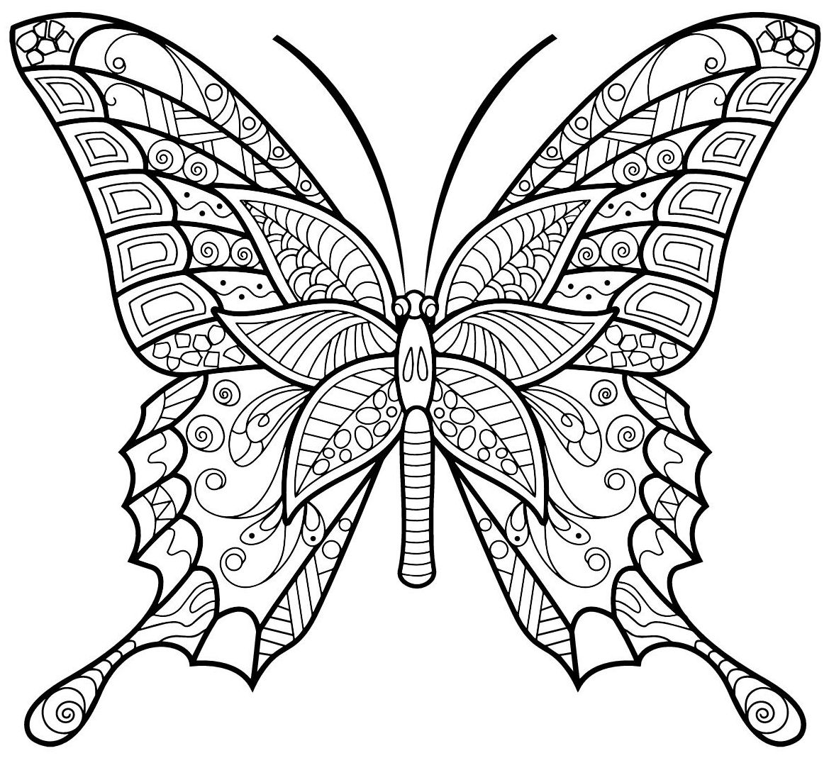 mandala 370 mariposa